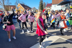 1_2025-03-02-Faschingszug-30