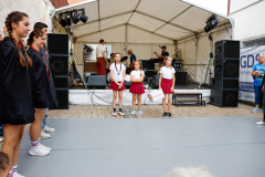 2025-07-12-Auftritt-RnR-Wolframs-Eschenbach